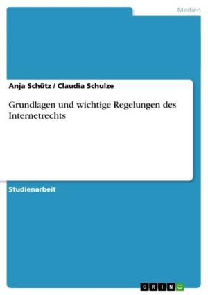 Cover of the book Grundlagen und wichtige Regelungen des Internetrechts by Heiko Wulschner, Diane Schmidt