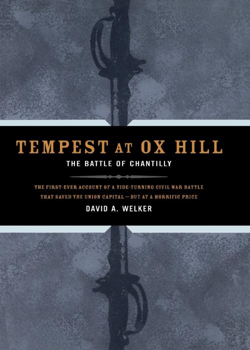 Cover of the book Tempest At Ox Hill by David A. Welker, Hachette Books