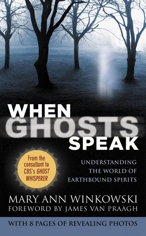 Cover of the book When Ghosts Speak by Mary Ann Winkowski, Grand Central Publishing