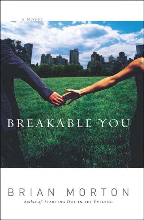Cover of the book Breakable You by Brian Morton, Houghton Mifflin Harcourt