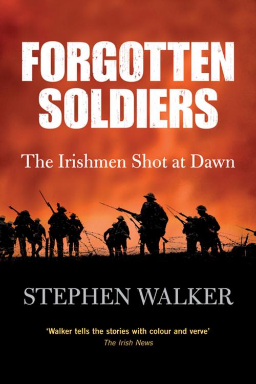 Cover of the book Forgotten Soldiers by Stephen Walker, Gill Books
