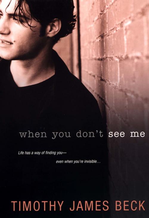 Cover of the book When You Don't See Me by Timothy James Beck, Kensington Books