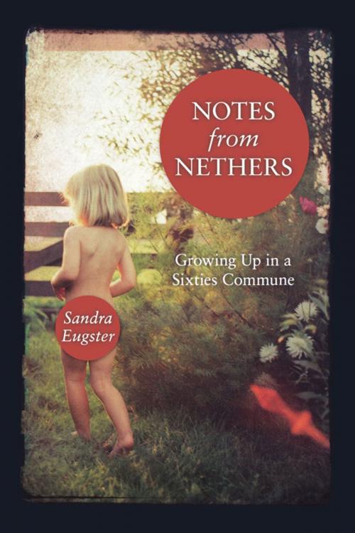 Cover of the book Notes From Nethers by Sandra Lee Eugster, Chicago Review Press
