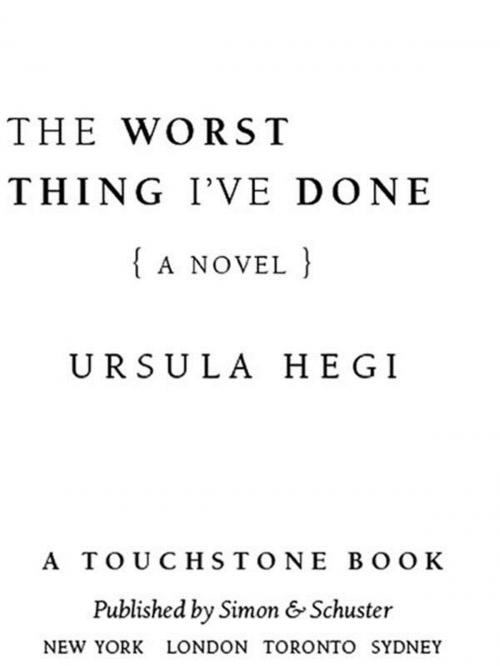 Cover of the book The Worst Thing I've Done by Ursula Hegi, Touchstone