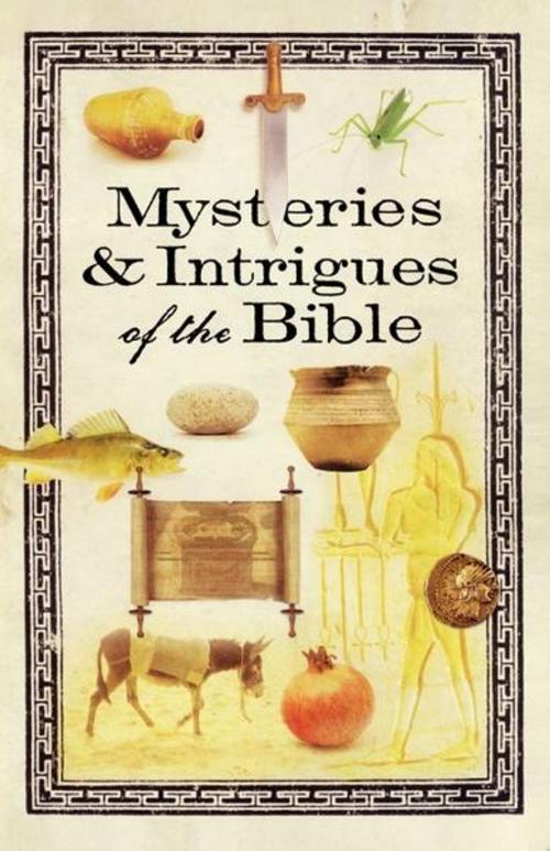 Cover of the book Mysteries & Intrigues of the Bible by Howard Books, Howard Books