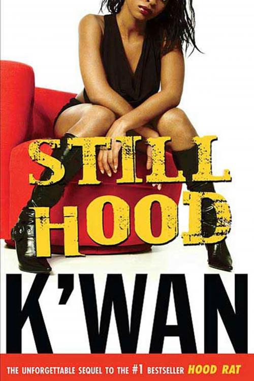Cover of the book Still Hood by K'wan, St. Martin's Press