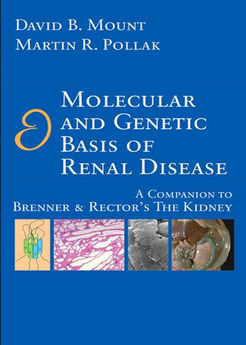 Cover of the book Molecular and Genetic Basis of Renal Disease E-Book by David B. Mount, MD, Martin R. Pollak, MD, Elsevier Health Sciences