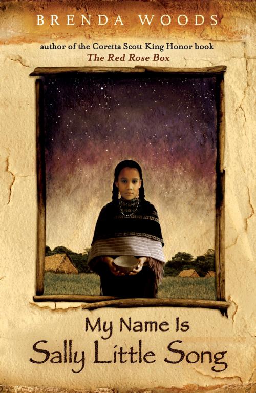 Cover of the book My Name Is Sally Little Song by Brenda Woods, Penguin Young Readers Group