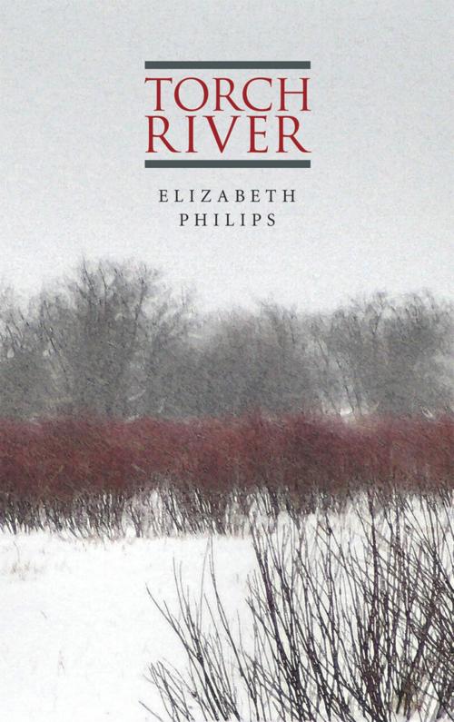 Cover of the book Torch River by Elizabeth Phillips, Brick Books