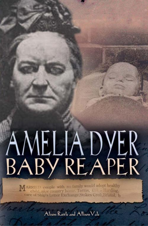 Cover of the book Amelia Dyer by Alison Rattle, Carlton Books Ltd