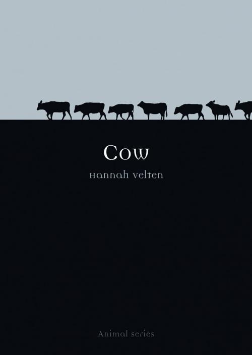 Cover of the book Cow by Hannah Velten, Reaktion Books