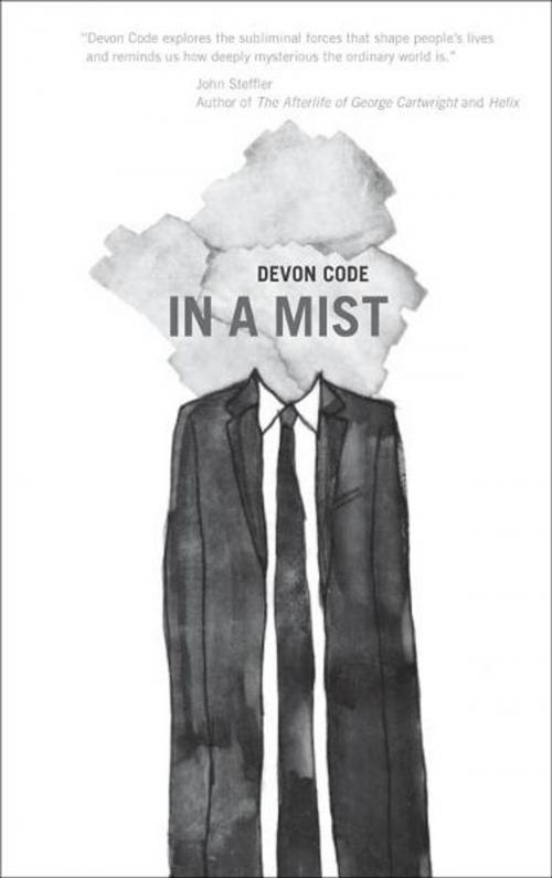 Cover of the book In a Mist by Devon Code, Invisible Publishing