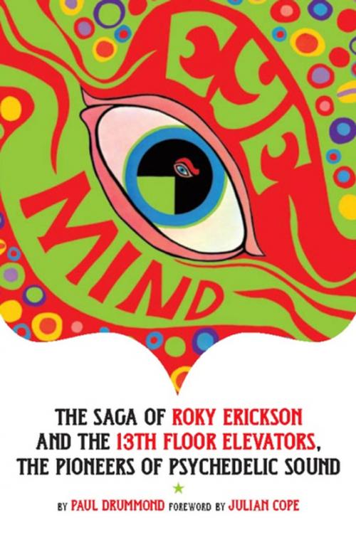Cover of the book Eye Mind by Paul Drummond, Process