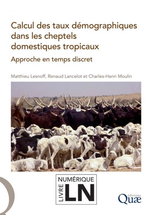 Cover of the book Calcul des taux démographiques dans les cheptels domestiques tropicaux by Charles-Henri Moulin, Renaud Lancelot, Matthieu Lesnoff, Quae