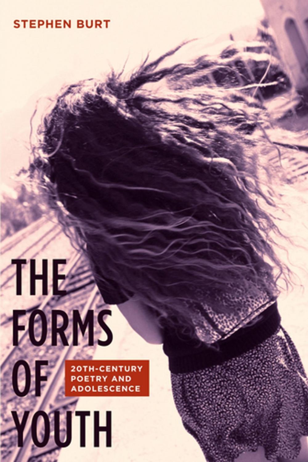 Big bigCover of The Forms of Youth
