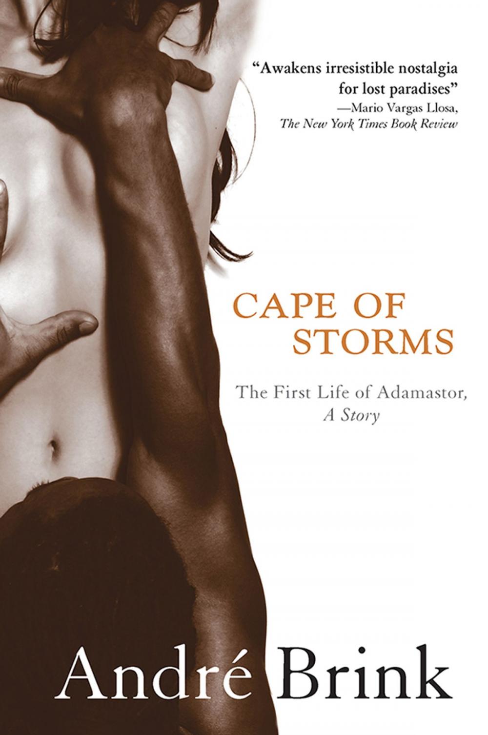 Big bigCover of Cape of Storms