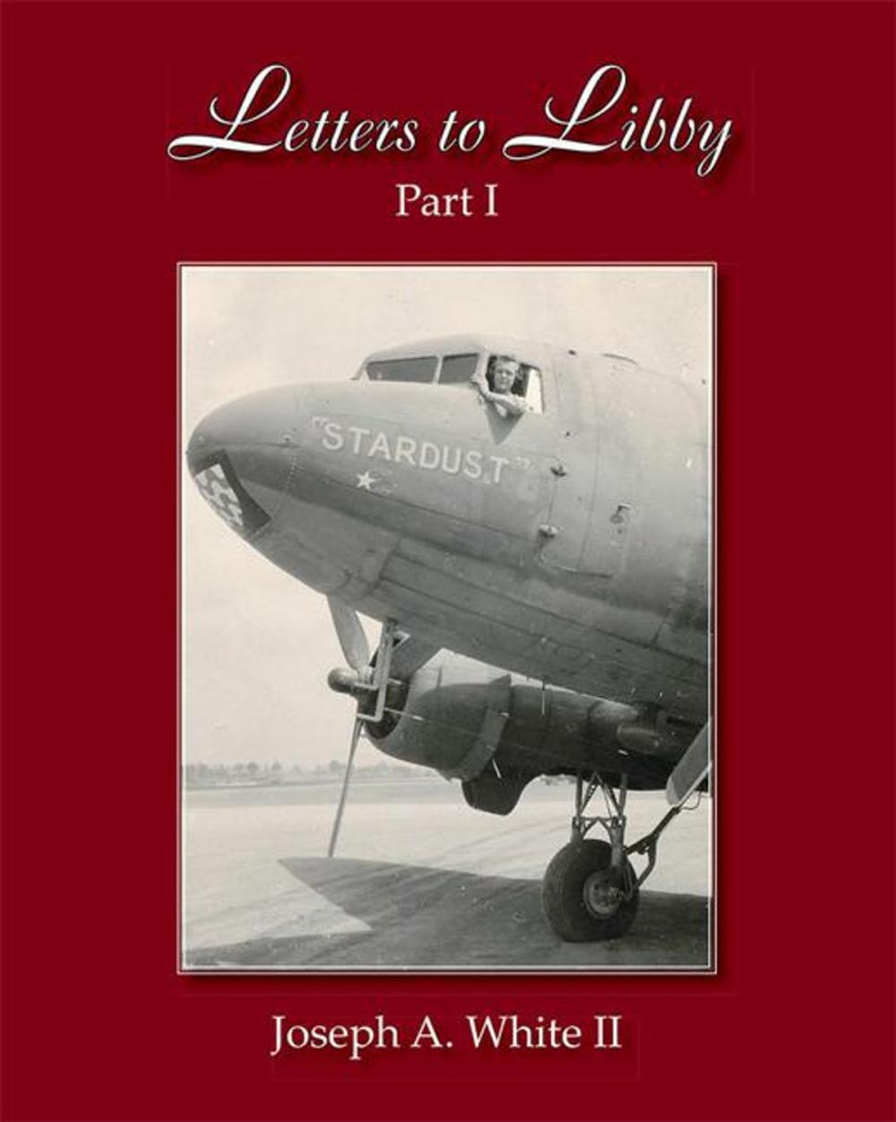 Big bigCover of Letters to Libby