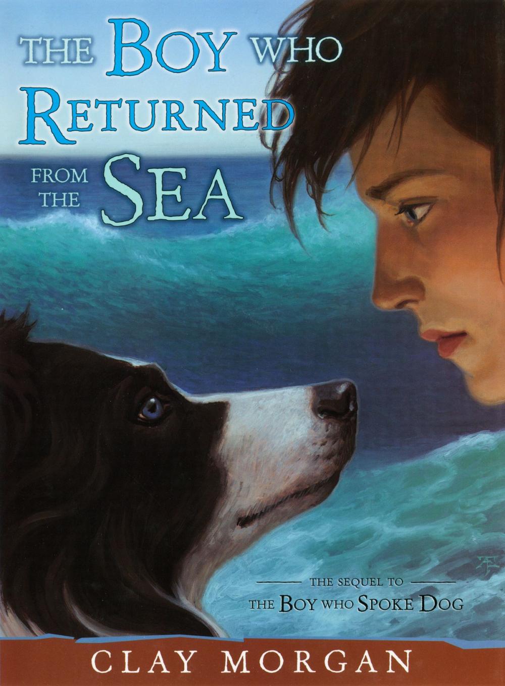 Big bigCover of The Boy Who Returned from the Sea