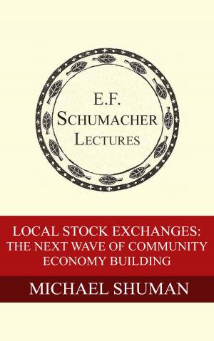 Cover of the book Local Stock Exchanges: The Next Wave of Community Economy Building by Leopold Kohr, Hildegarde Hannum