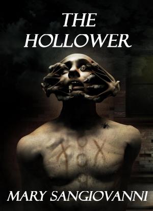 Book cover of The Hollower