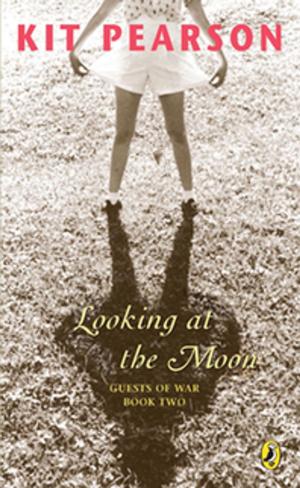 Cover of the book Looking At The Moon by Heather T. Smith