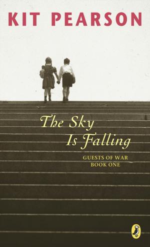Cover of the book The Sky Is Falling by Jo Treggiari