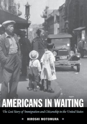 Cover of the book Americans in Waiting by Melvin Delgado