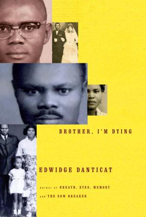 Cover of the book Brother, I'm Dying by Don Winslow