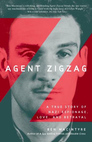Cover of the book Agent Zigzag by Chris Martin
