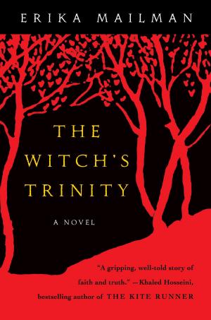 Cover of the book The Witch's Trinity by Judi Suni Hall