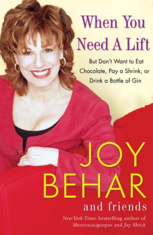 Cover of the book When You Need a Lift by Noel Bodenmiller
