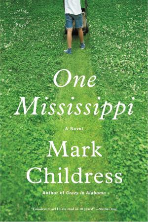 bigCover of the book One Mississippi by 