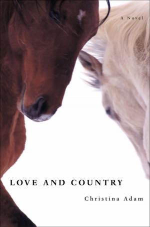 Cover of the book Love and Country by Richard Schickel