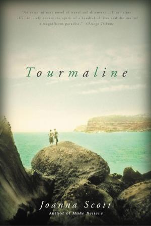 Cover of the book Tourmaline by Steve Rushin