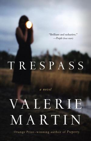 Cover of the book Trespass by Andrew Vachss