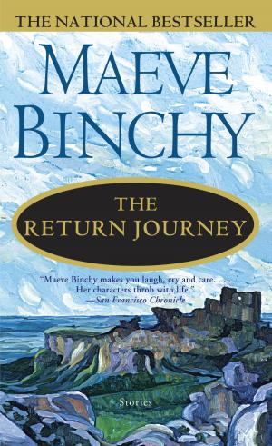 Cover of the book The Return Journey by Stephanie Tyler