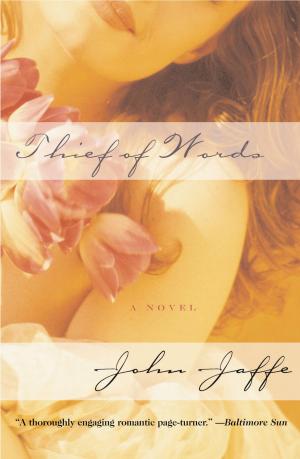 Cover of the book Thief of Words by Linda Kelsey