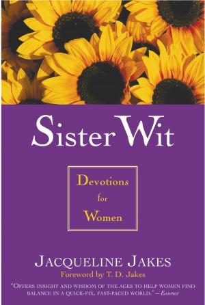 Cover of the book Sister Wit by Kristen Dalton Wolfe