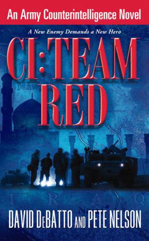 Cover of the book CI: Team Red by Olivia Miles