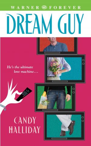 Cover of the book Dream Guy by Dorothy Garlock