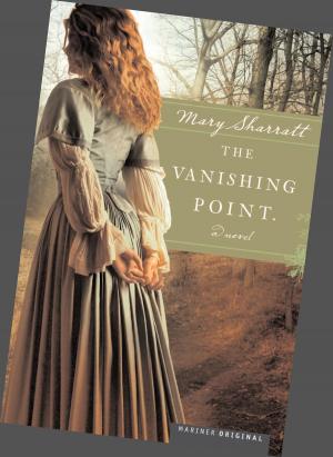 Cover of the book The Vanishing Point by Natasha Trethewey