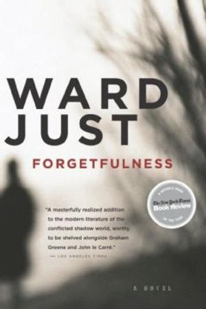 Cover of the book Forgetfulness by Denis M. Calandra, Jennifer L. Scheidt