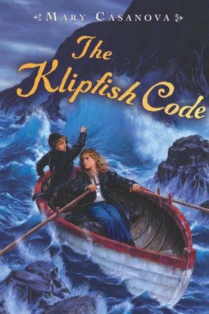 Book cover of The Klipfish Code