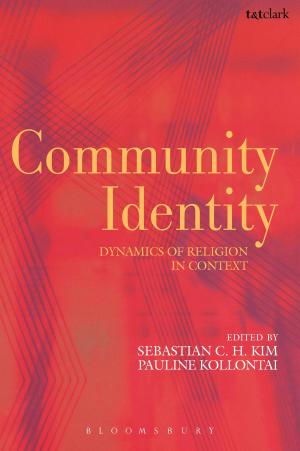 Cover of the book Community Identity by Dr James Luchte