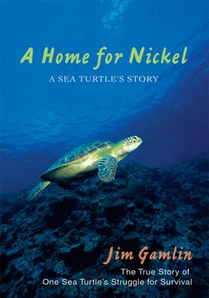 Cover of the book A Home for Nickel by Sunny Kreis Collins