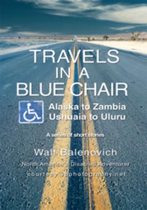 Cover of the book Travels in a Blue Chair by Arnie Greenberg