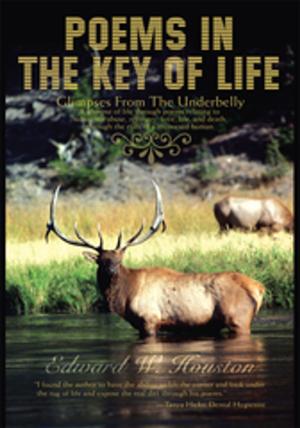 Cover of the book Poems in the Key of Life by PMF Johnson