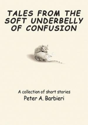 Book cover of Tales from the Soft Underbelly of  Confusion