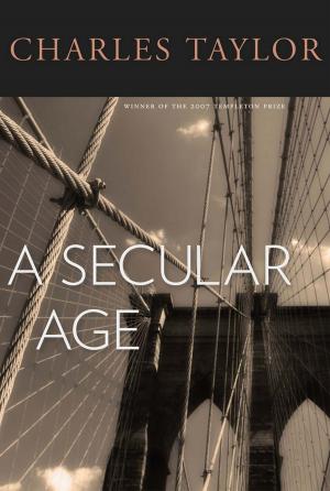 Cover of the book A Secular Age by Stephen R. Halsey