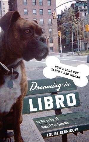 Cover of the book Dreaming in Libro by Alexander Levy